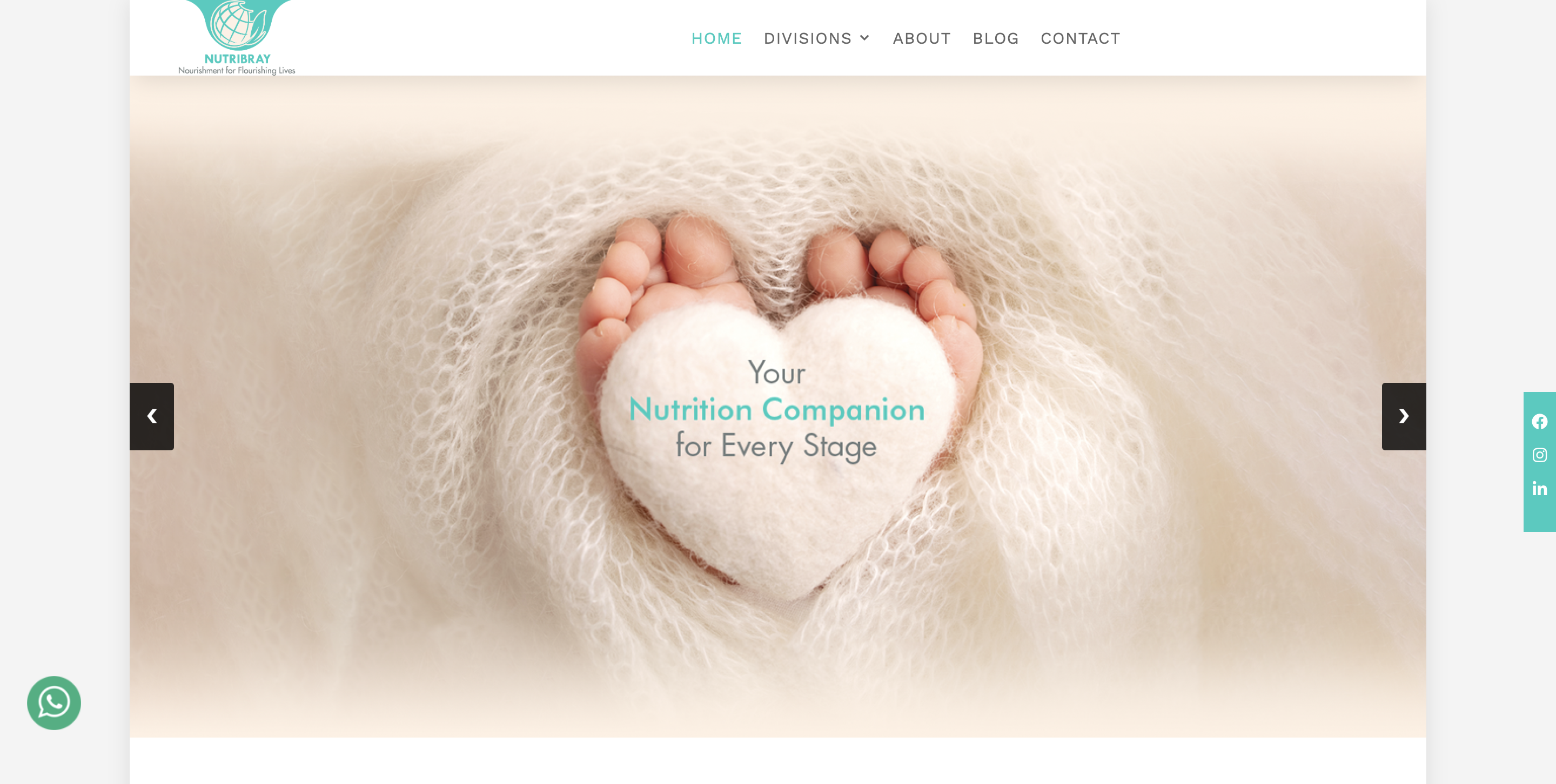 SEO Campaign